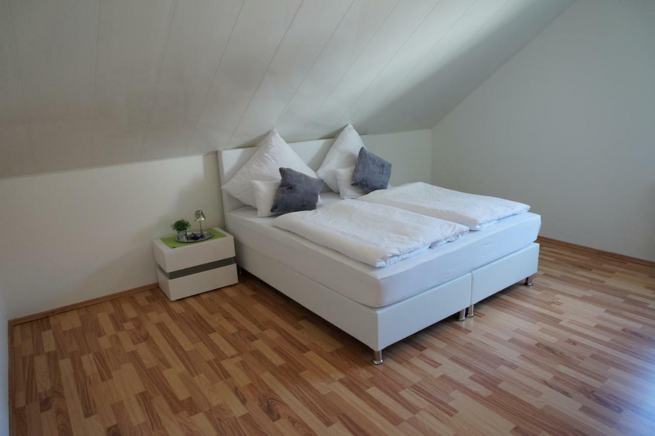 Apartment Schoenste Im Odenwald *
