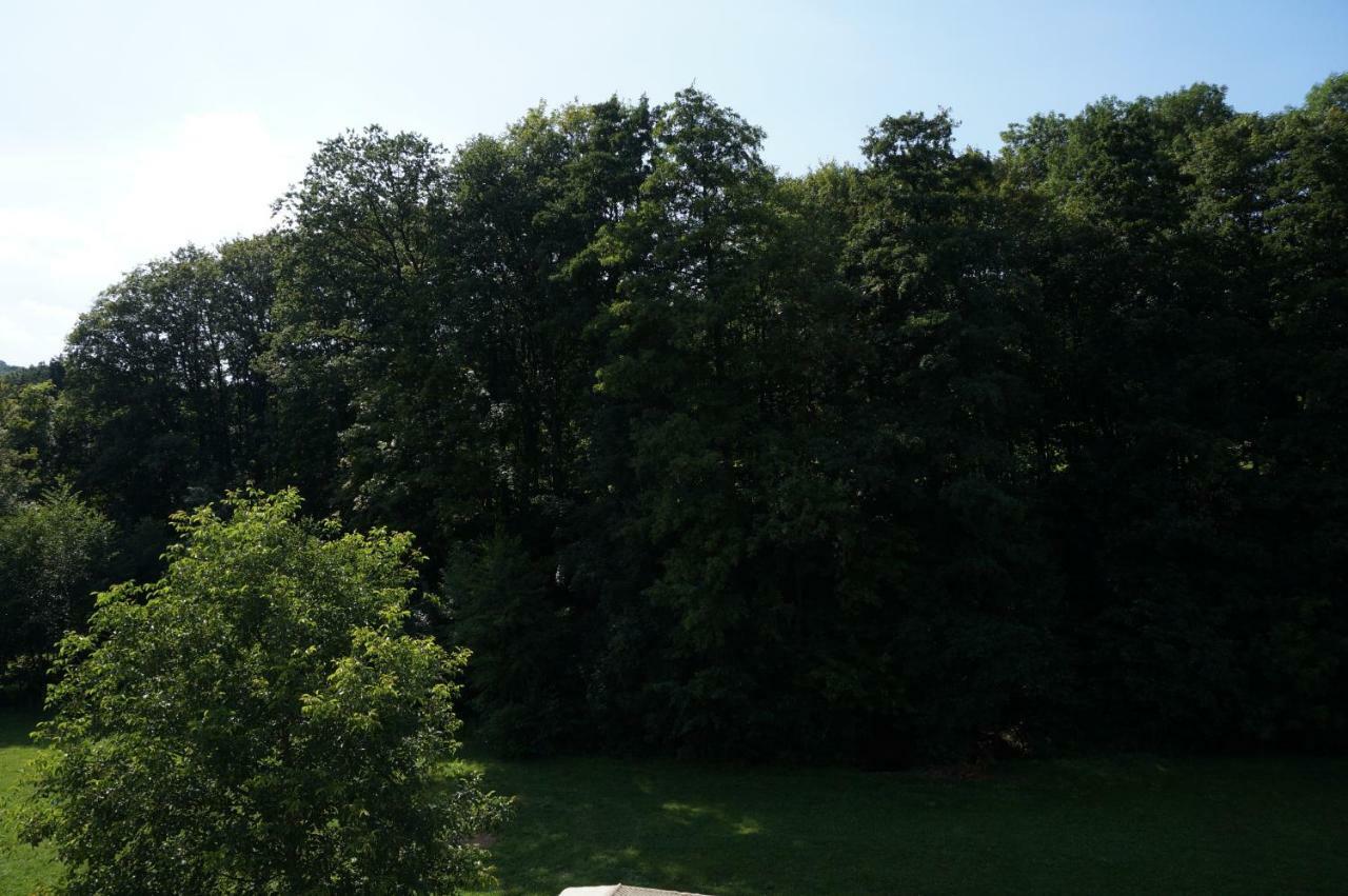 Schoenste Im Odenwald Apartment Wald-Michelbach
