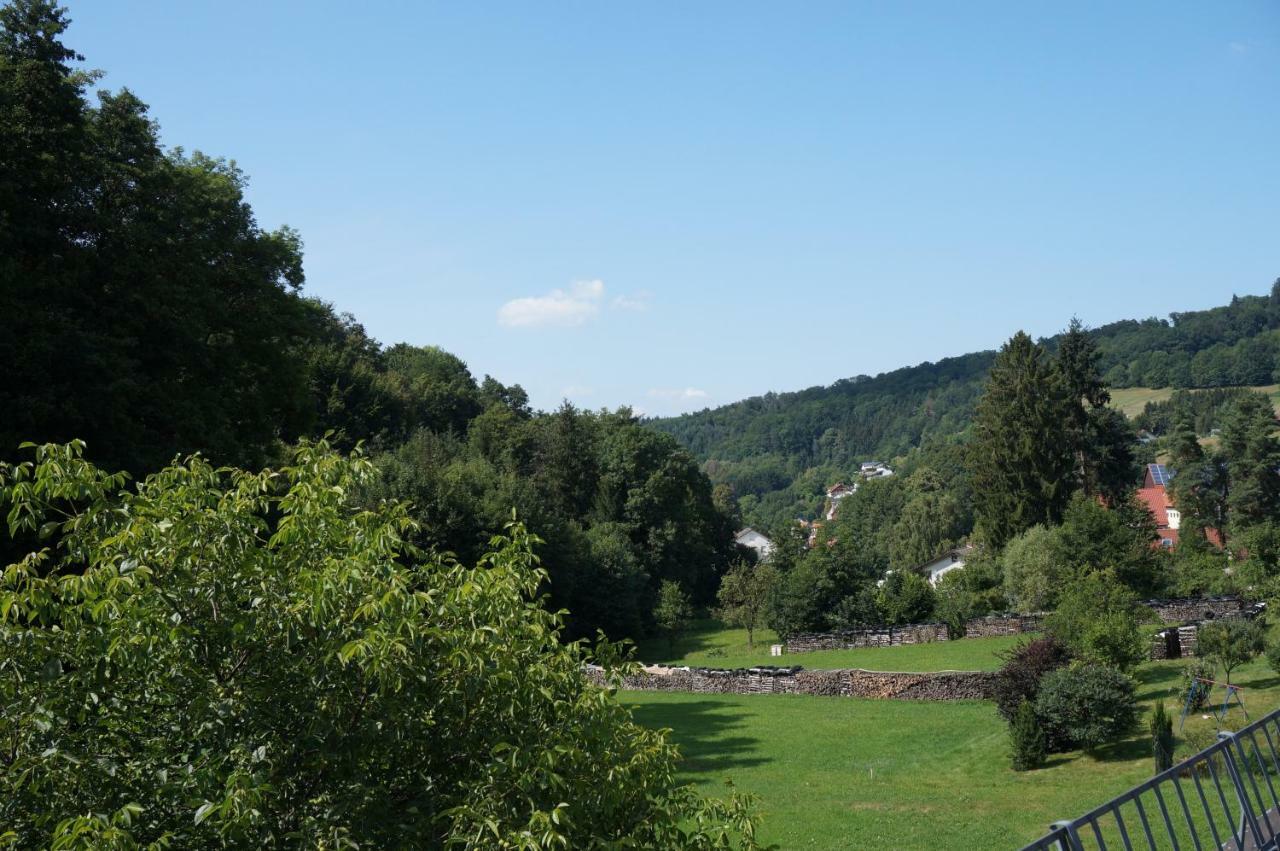 Апартаменты Schoenste Im Odenwald *