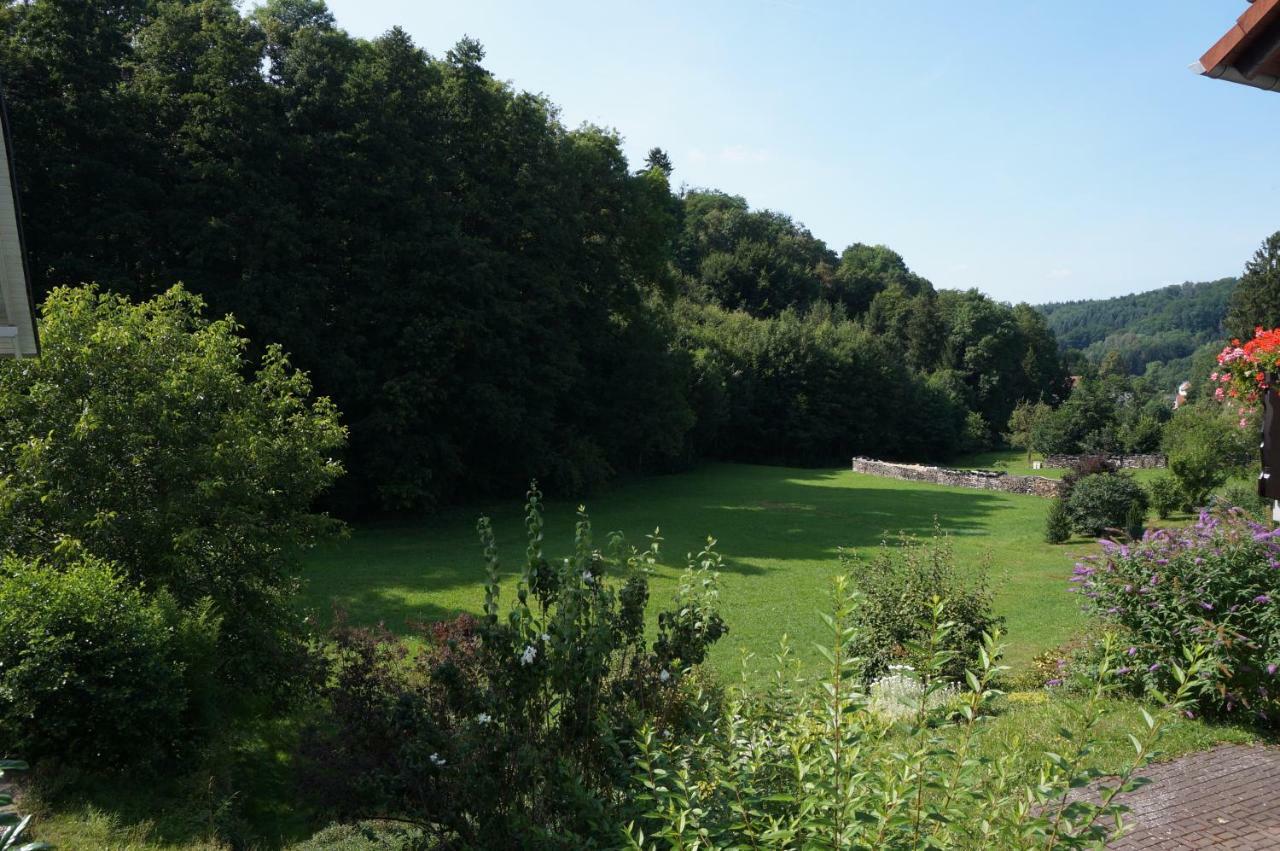 Schoenste Im Odenwald Апартаменты Вальд-Михельбах